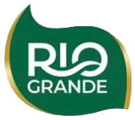 Rio Logo